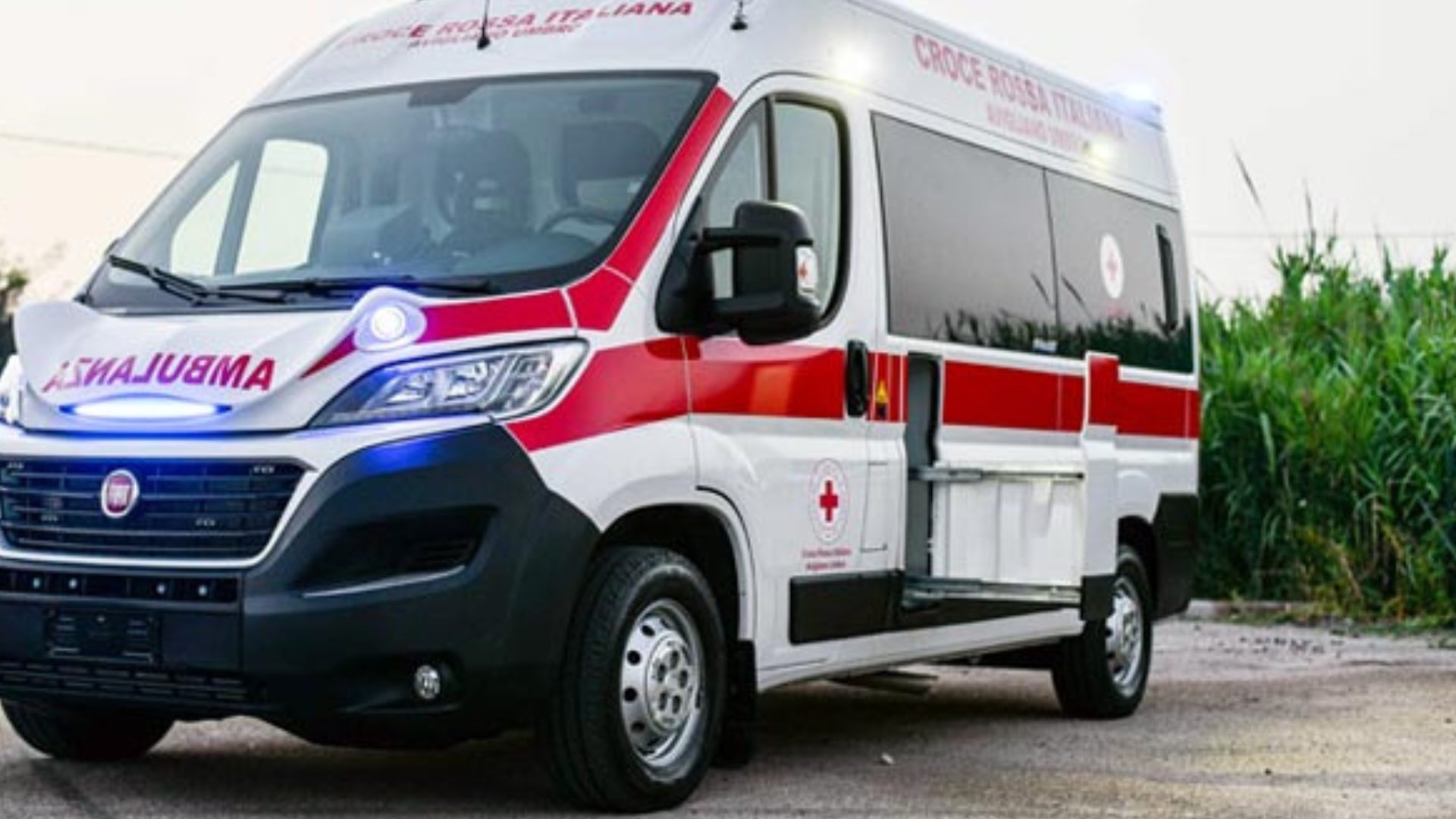 Bollanti Franchising