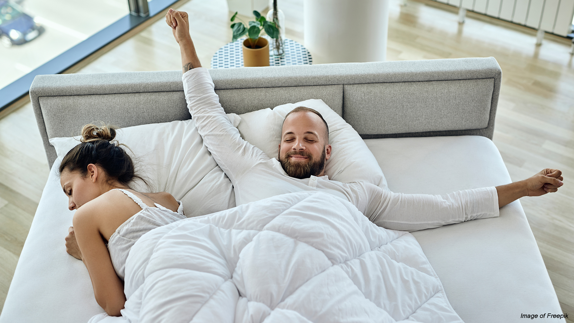 Perdormire avvia il franchising: il brand del bedding amplia la rete retail