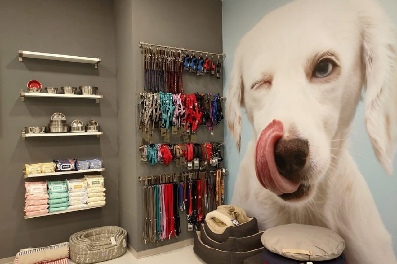 I 10 marchi Top per aprire un negozio in franchising di animali