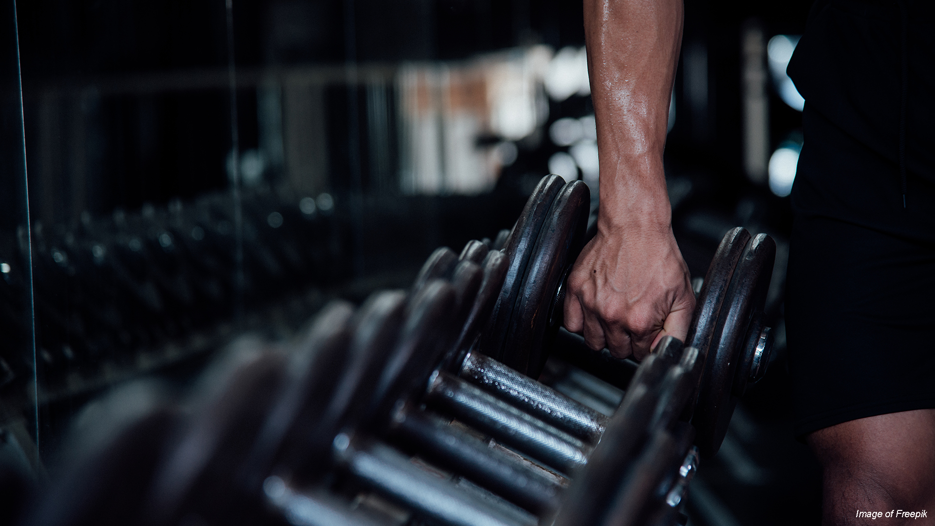 Palestre in franchising, il 22% degli italiani sceglie le catene per risparmiare fino al 67%