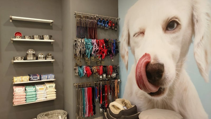 come aprire un negozio franchising animali