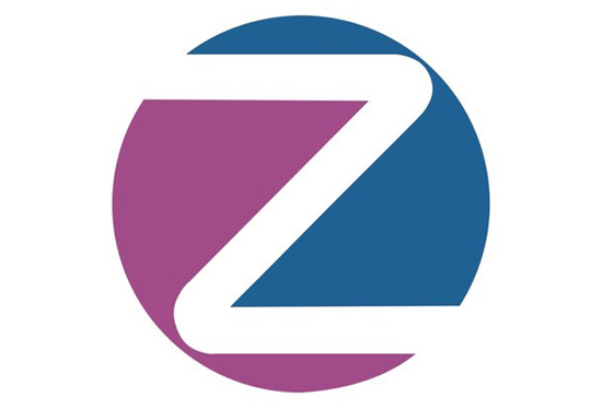 Logo Zoe Web Solution Franchising