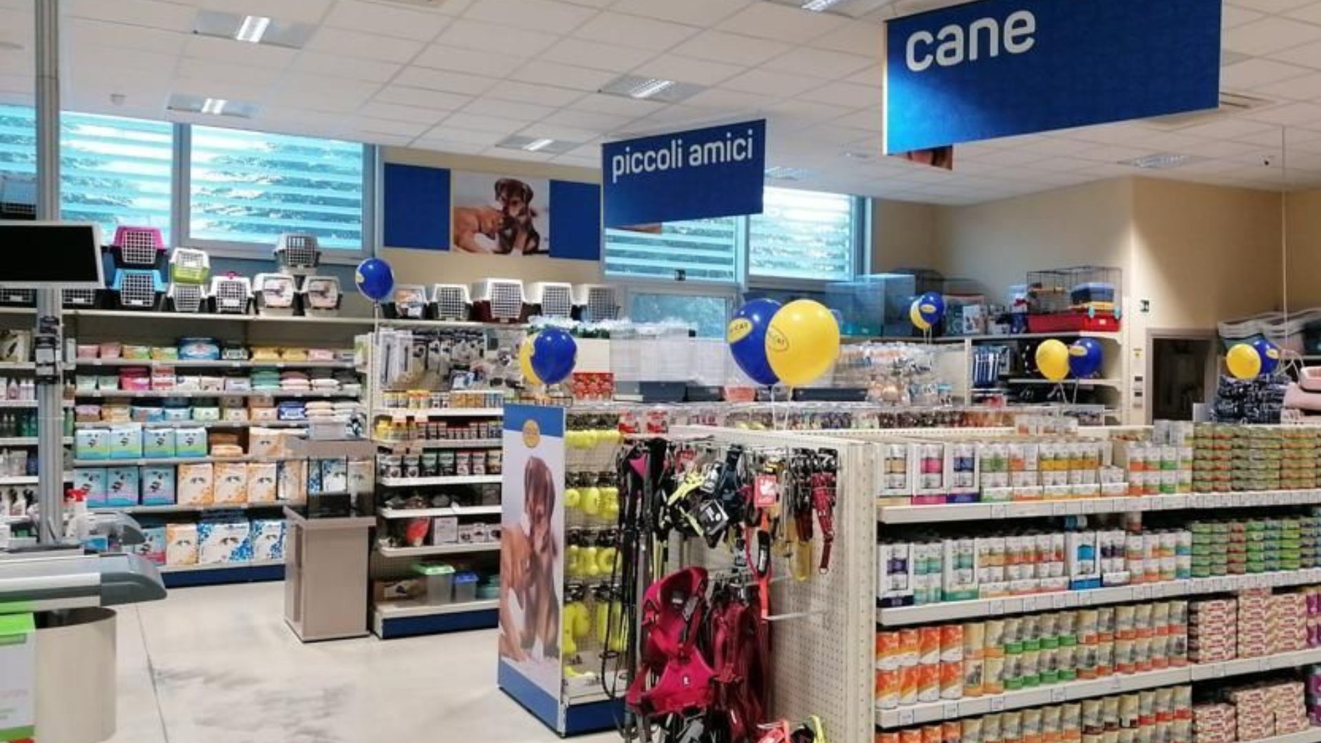 Dog&#038;Cat Franchising