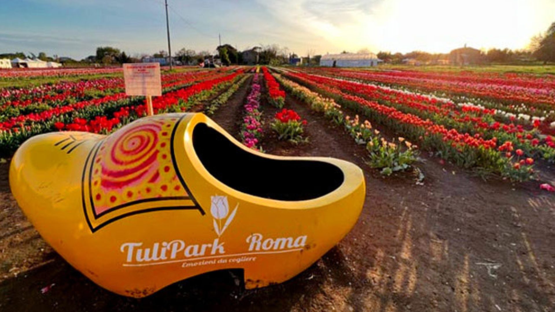 TuliPark franchising