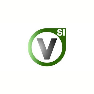V-Si Franchising